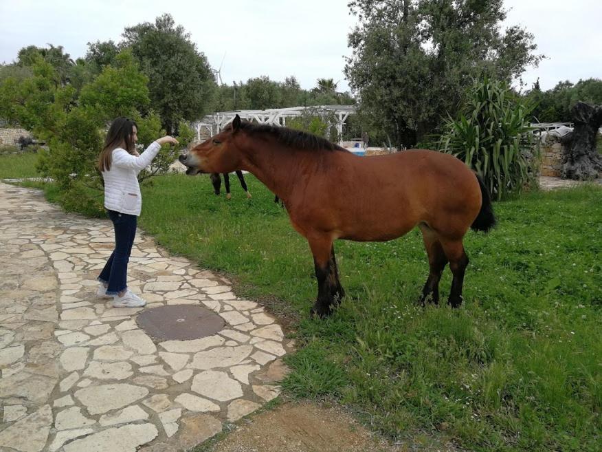 Masseria Sciaiani Piccola Villa Castelli Экстерьер фото