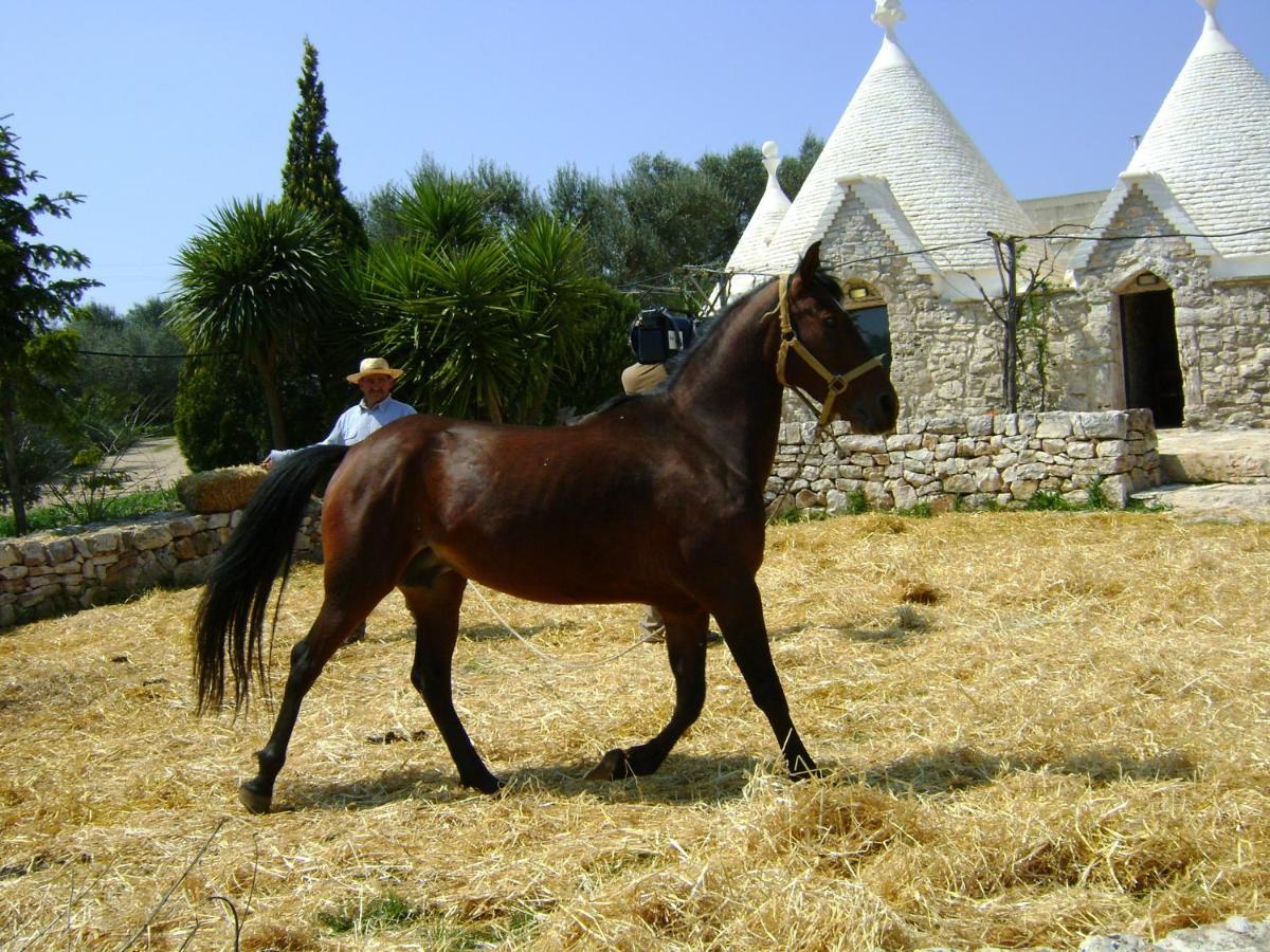 Masseria Sciaiani Piccola Villa Castelli Экстерьер фото