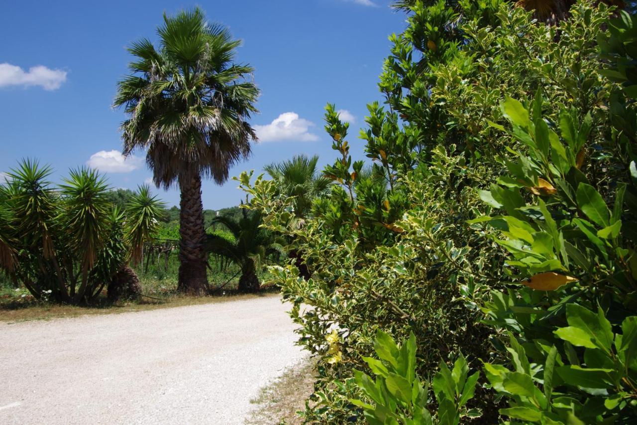 Masseria Sciaiani Piccola Villa Castelli Экстерьер фото